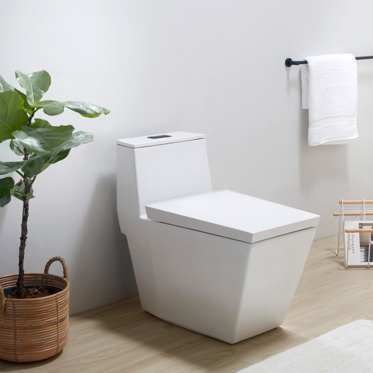 This is a toilet form the collection done with a minimalist feel, too.