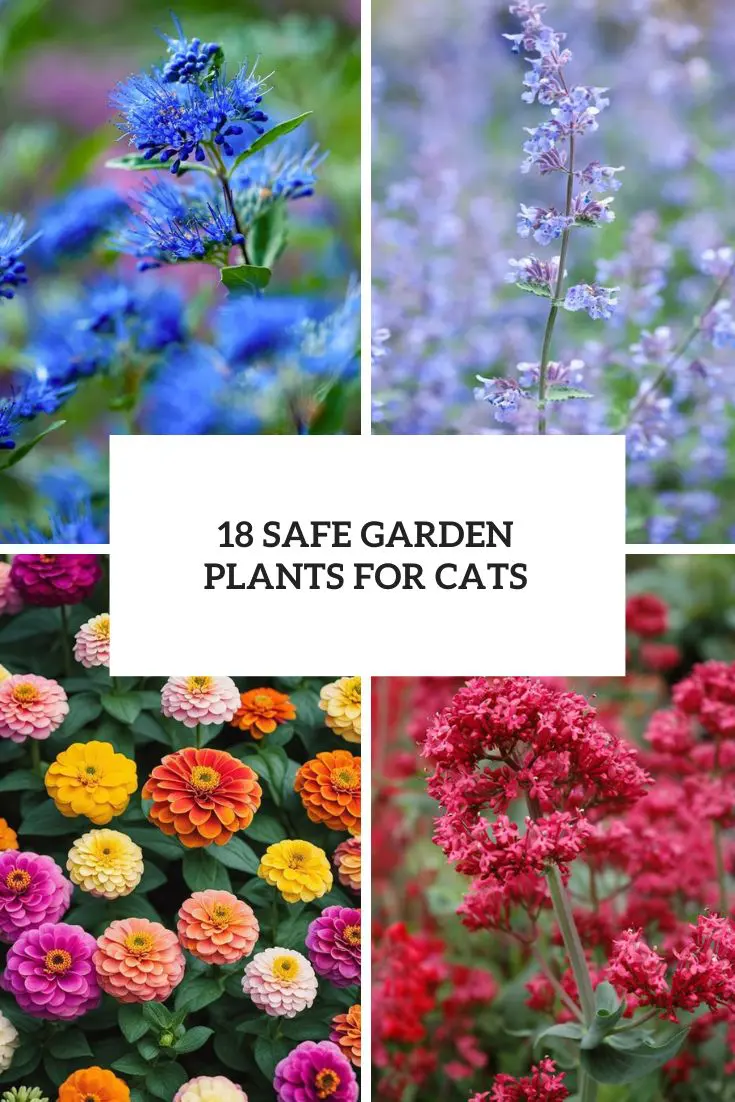 18 Safe Garden Plants For Cats