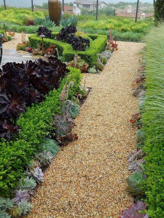 A living garden border done with green and purple succulents of a large size is a trendy idea for every modern garden.