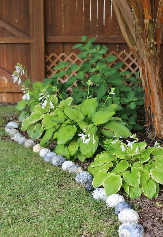 Large shells framing the garden beds will make your beachside or seaside space more stylish highlighting its location.