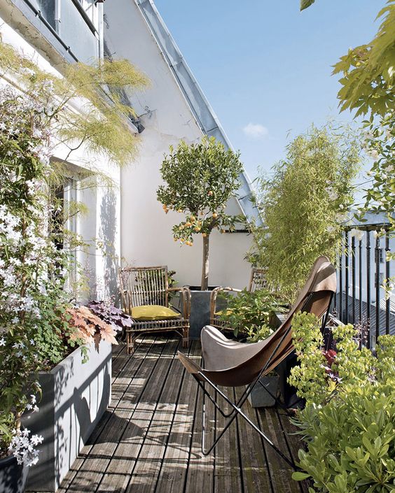A simple summer balcony with potted greenery and blooms, rattan chairs and a leather butterfly one.