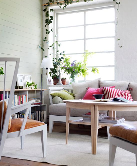 Climbing plants, blooms and colorful furniture and accessories make this living room vivacious and bold.